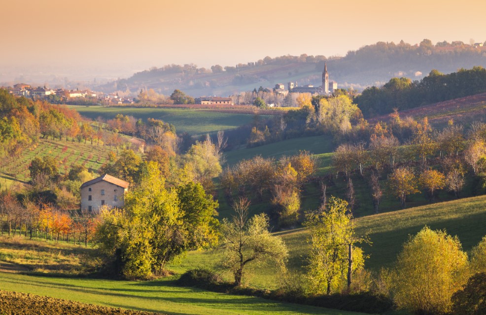 Castelvetro wzgórza z kolorowymi winnicami, Modena, Emilia Romania Włochy